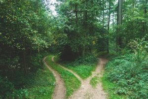 Short-term cash need or longer financial gap? Choosing the right borrowing duration